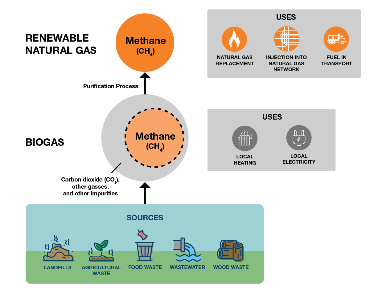 Biogas and renewable natural gas (RNG)