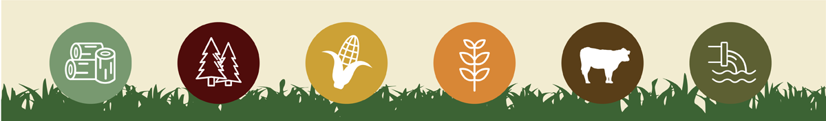 Icons for forest residue, forestry, crop residue, energy crops, livestock residue, and urban wastes.