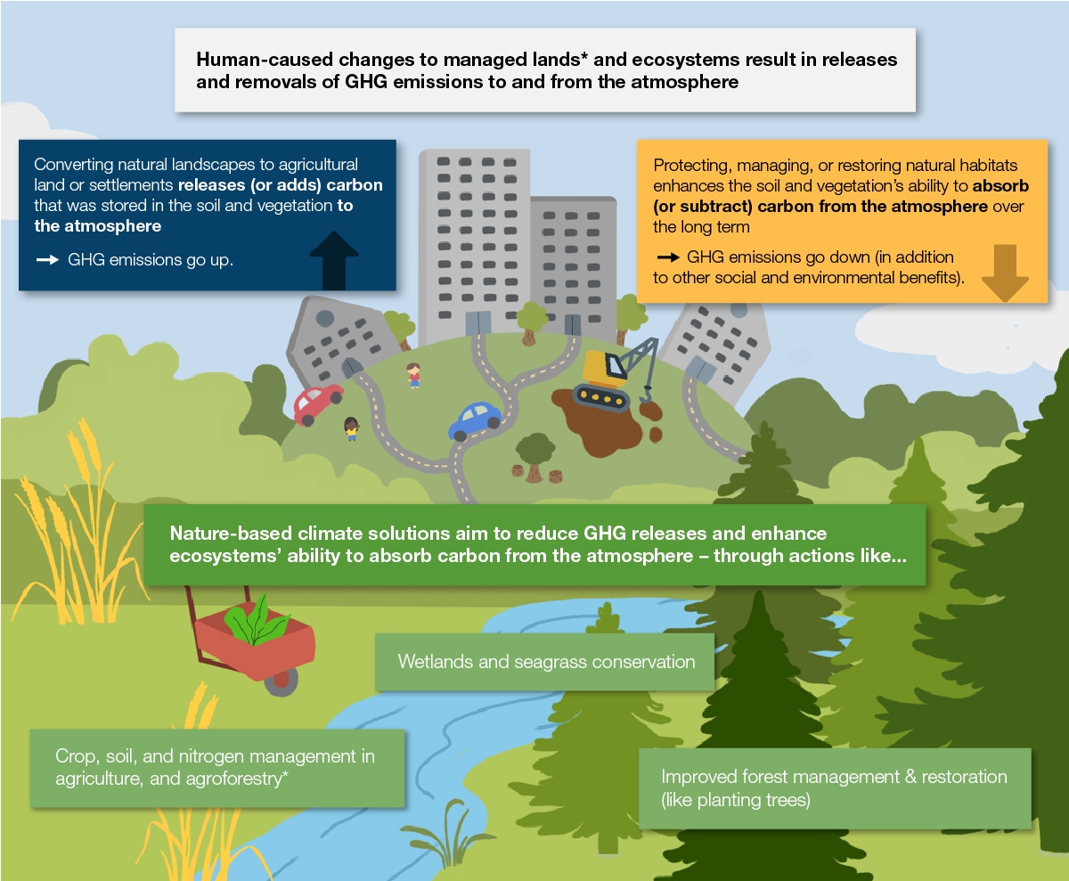 Infographic of how human-caused changes to nature impact GHG emissions.