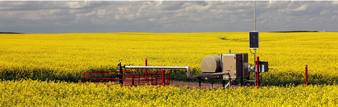 Un puits de gaz naturel au milieu d’un champ de canola