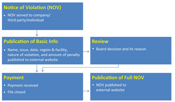 Diagram 2: Summary of AMP Process
