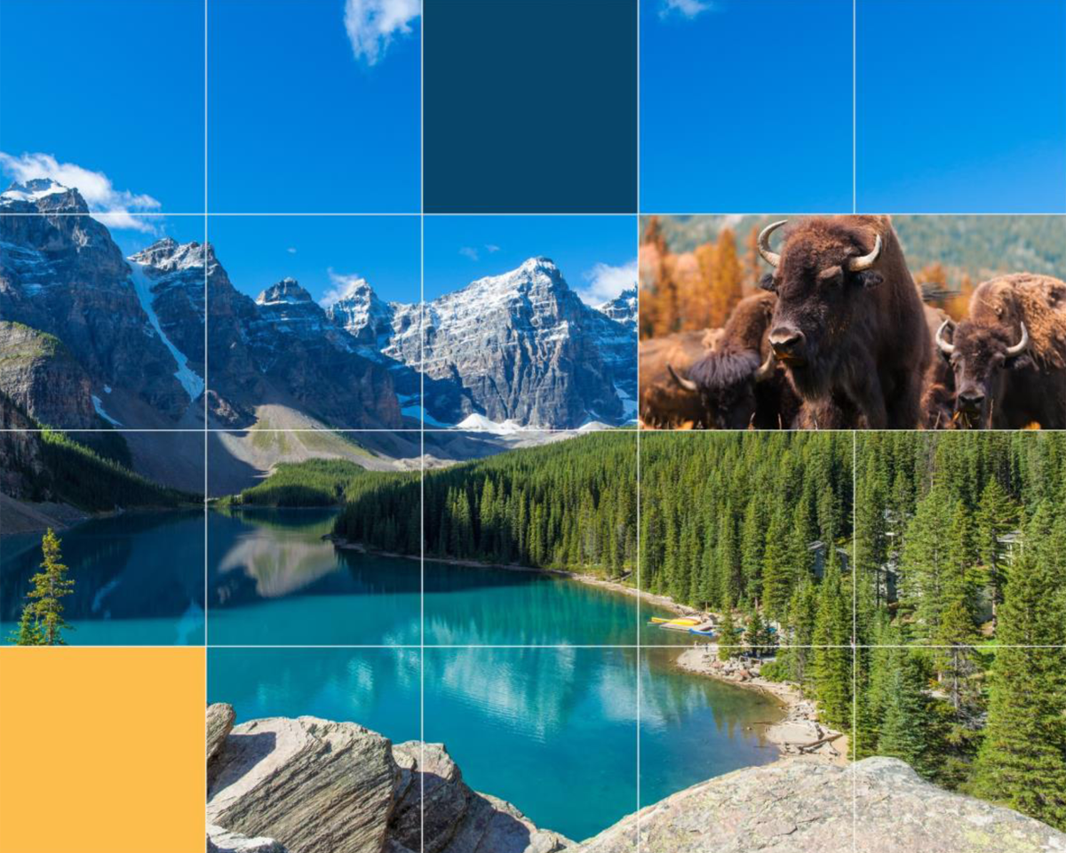 Photo: Graphic grid over pictures of a lake, mountain, and herd of buffalo