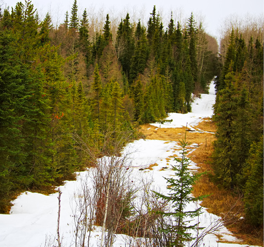 Pipeline right-of-way