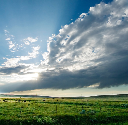 Cloudy sky over farmland