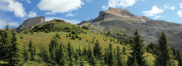 Mountain