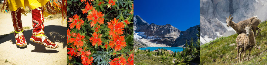 Aboriginal dance, flowers, lake, mountain sheep