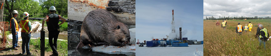 Inspection, Beaver, North, Public Interest