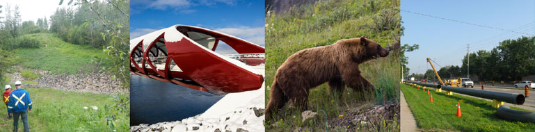 Inspection, Bridge, Bear, Pipeline Construction Site