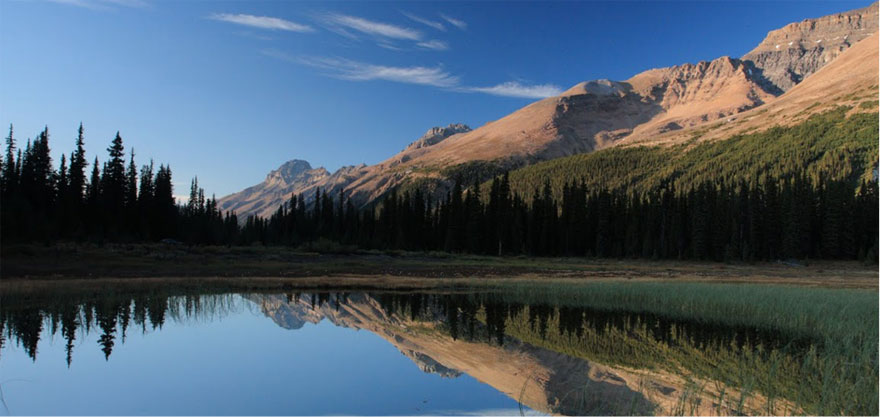 Shady mountain lake