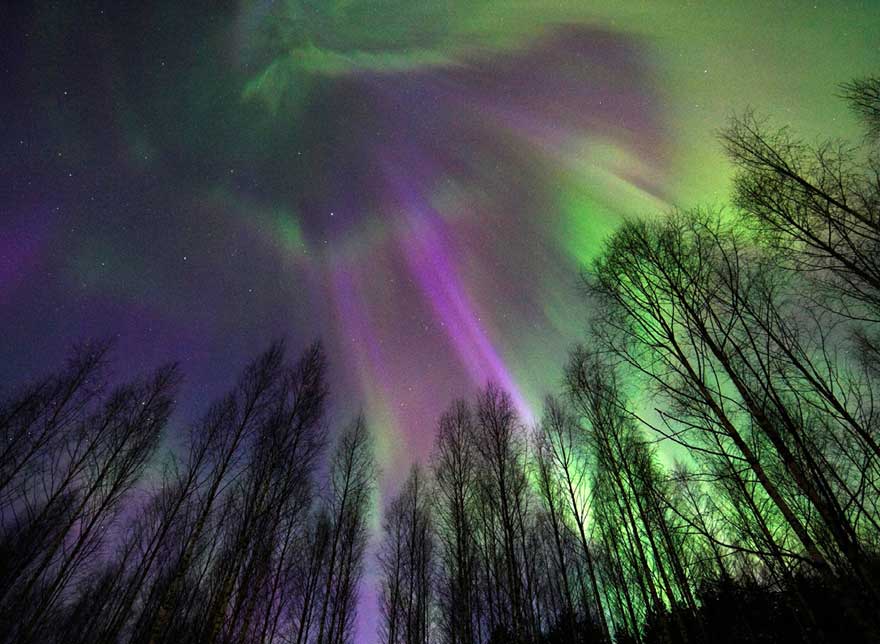 Northern lights