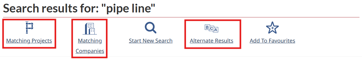 Identifying where to find the “Matching Project”, “Matching Companies”, and “Alternate Results” links.