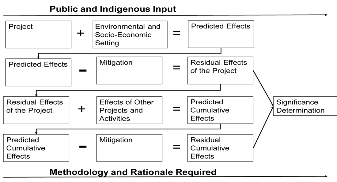 Figure A.2-1: The Applicant’s ESA process