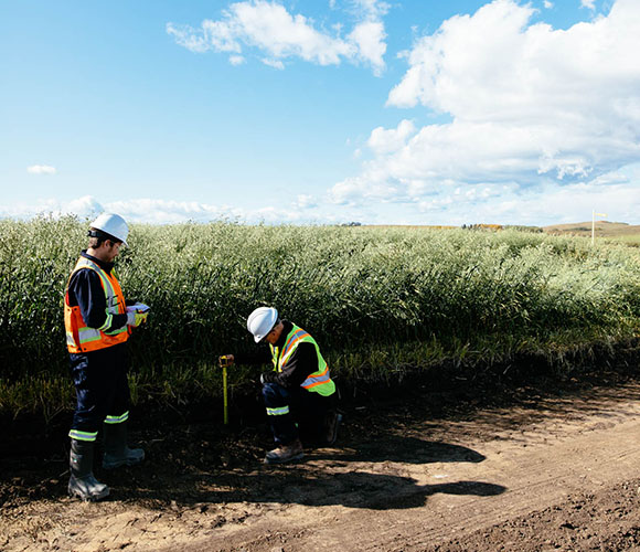 Keystone XL pipeline construction
