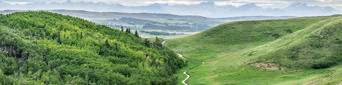 Glenbow Ranch Provincial Park, Calgary, Alberta, Canada