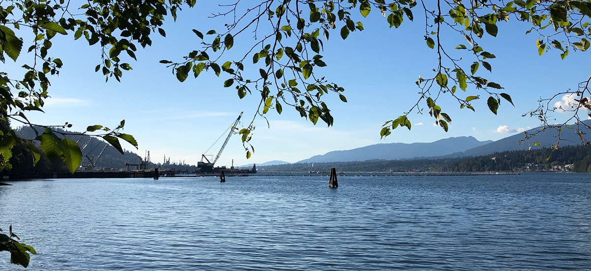 Surveillance réglementaire du projet d’agrandissement du réseau de Trans Mountain durant la pandémie de COVID-19