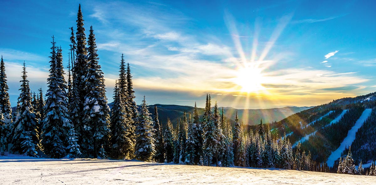 Figure 4 – Winter landscape with fir trees and mountains in the background.
