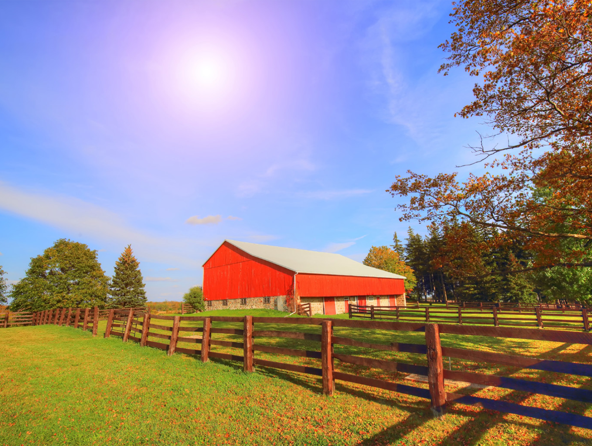 Figure 1 – Red barn at the end of fields lines with wood fences