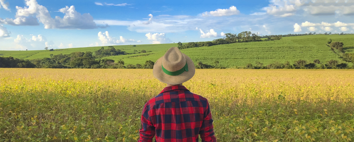 Figure 2 – Man photographed from the back looking at fields in the distance