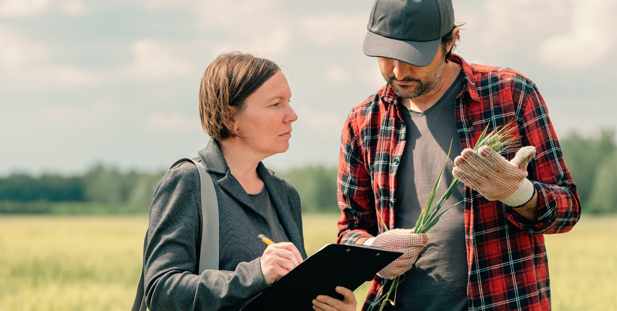 Figure 4 – Man with a wheat sheath in his hand is talking to a woman holding a clipboard