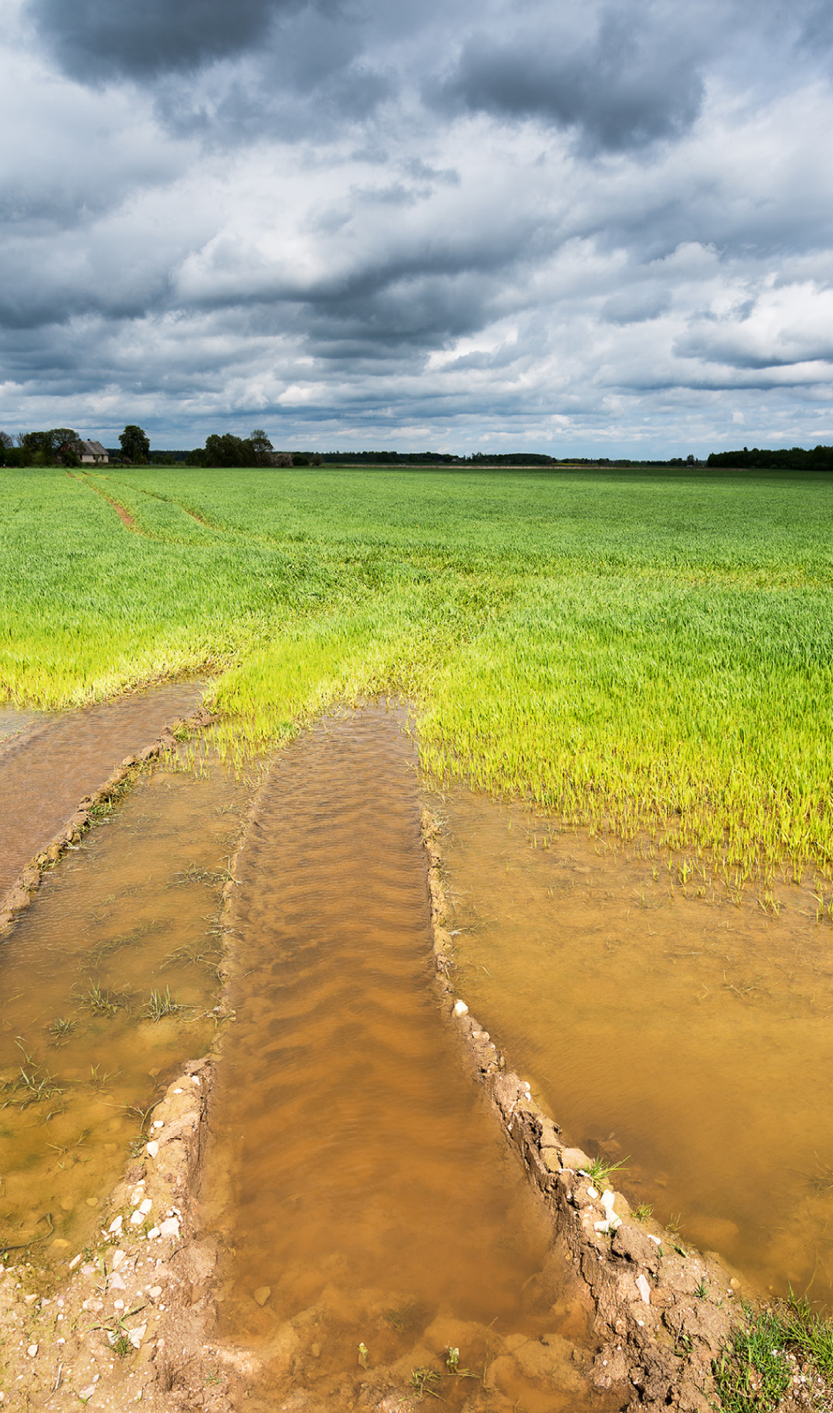 Figure 6 – Tire tracks across a wet field