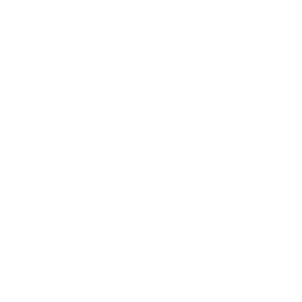 Flame icon