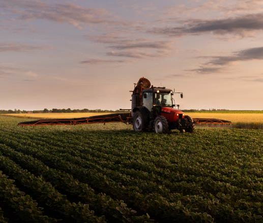 Tractor in crop field.