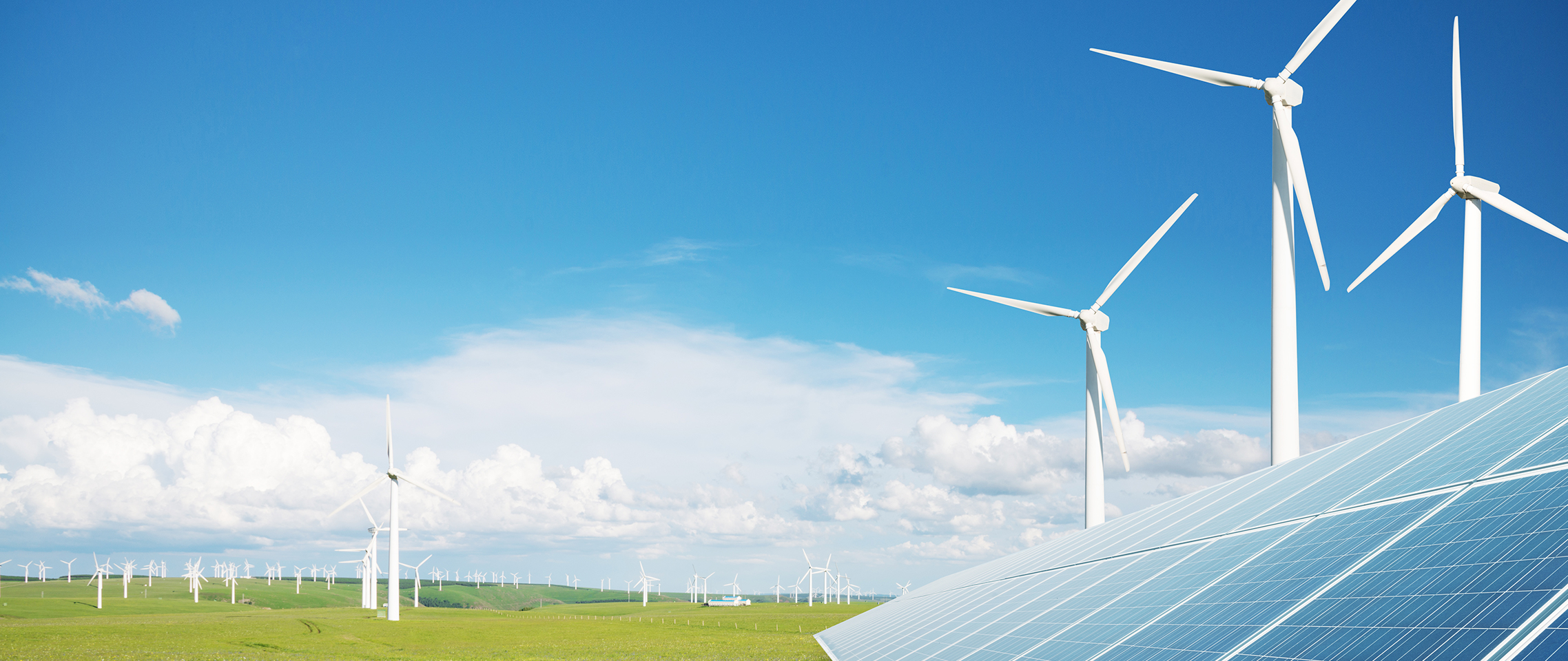 Banner image for Results