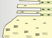 Sandstone and siltstone