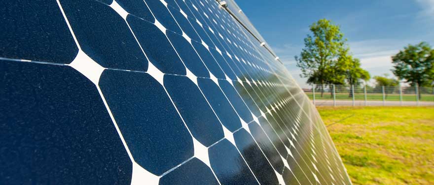 Detail of solar panel with a tree and sunny skies in the background