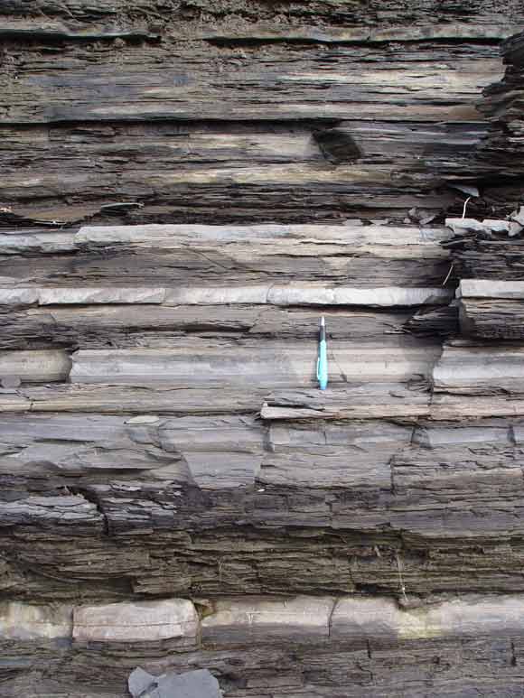Figure 2 : Schistes d’Utica près de Donnacona, au Québec
