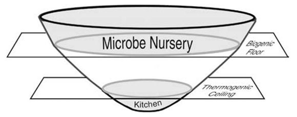 Figure 3: Biogenic (Nursery) and Thermogenic (Kitchen) Methane Generation