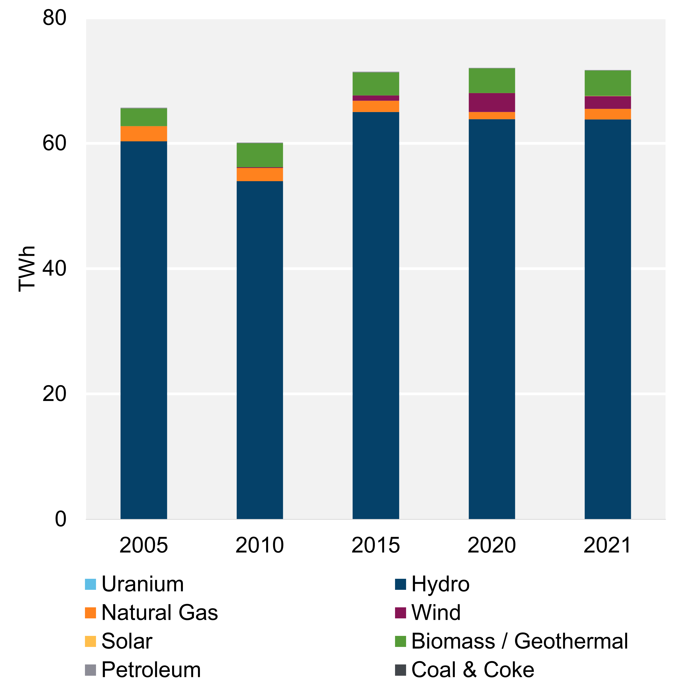 Figure 2: Electricity generation by Fuel Type, Trend (2021)