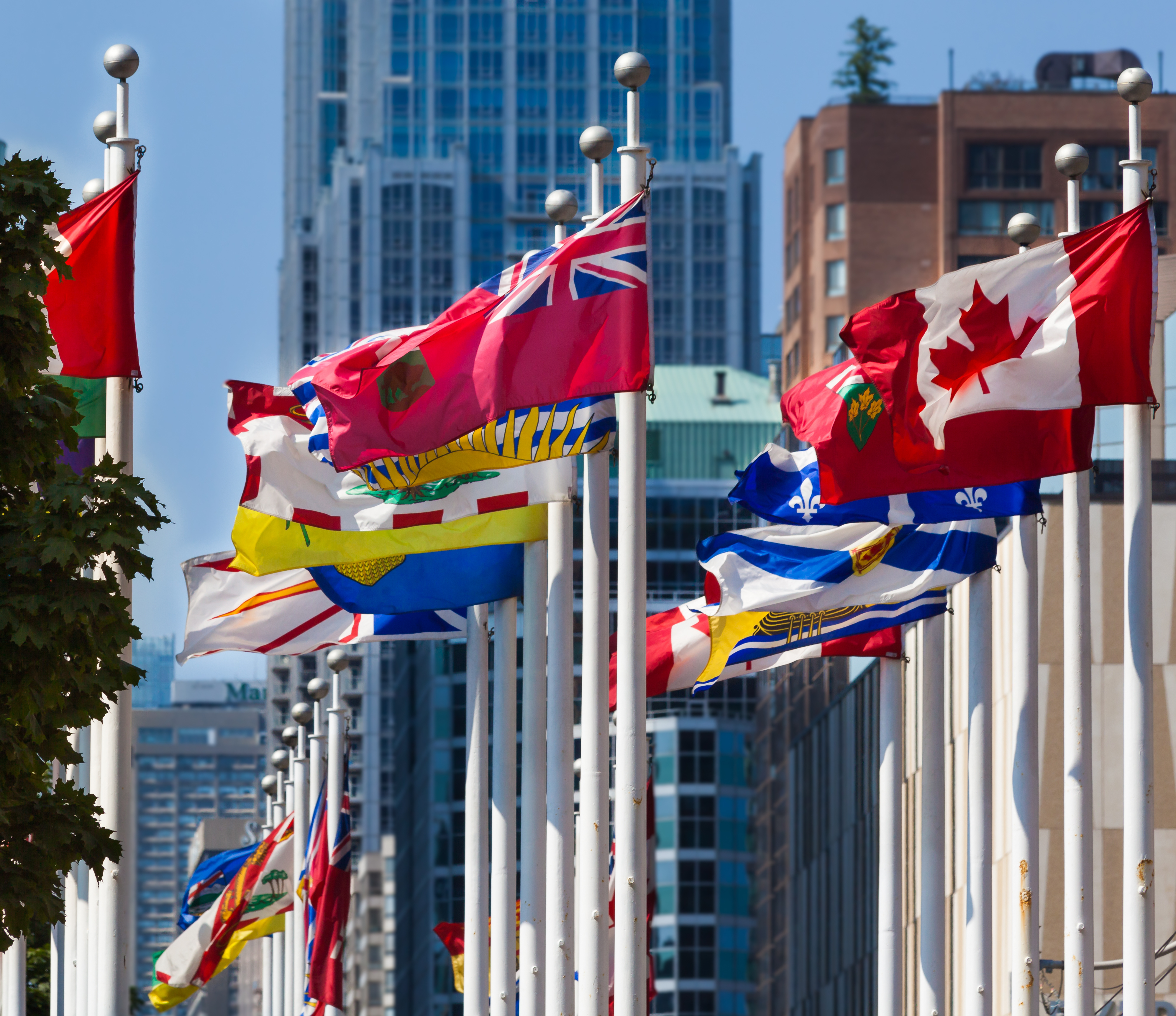 Drapeaux du Canada et de ses provinces, sur des pôles blancs, qui flottent sous un ciel bleu devant un paysage urbain de hauts bâtiments commerciaux.