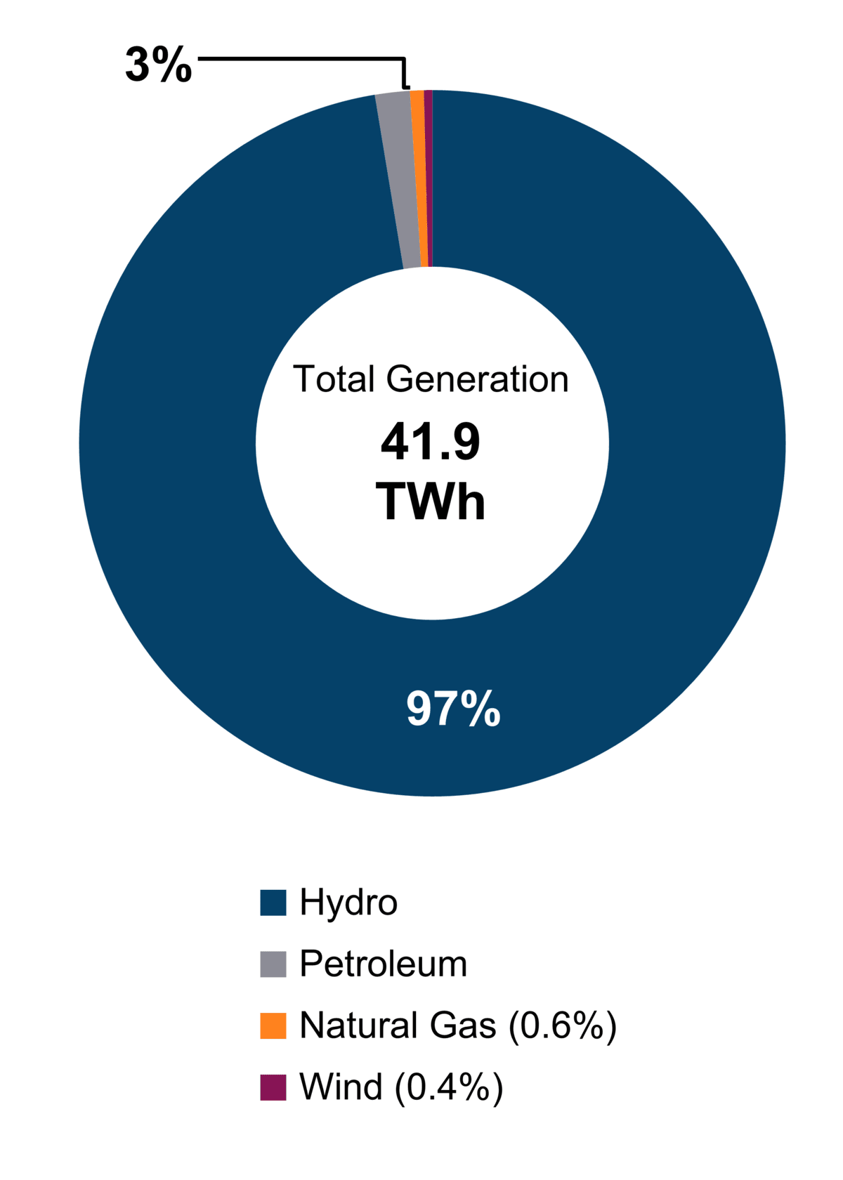 Figure 1: Electricity Generation by Fuel Type (2021)