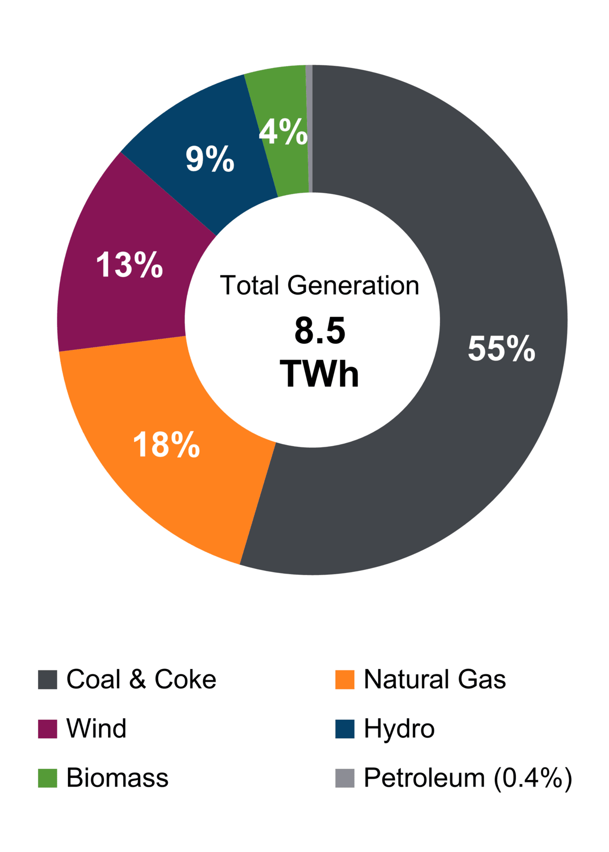 Figure 1: Electricity Generation by Fuel Type (2021)