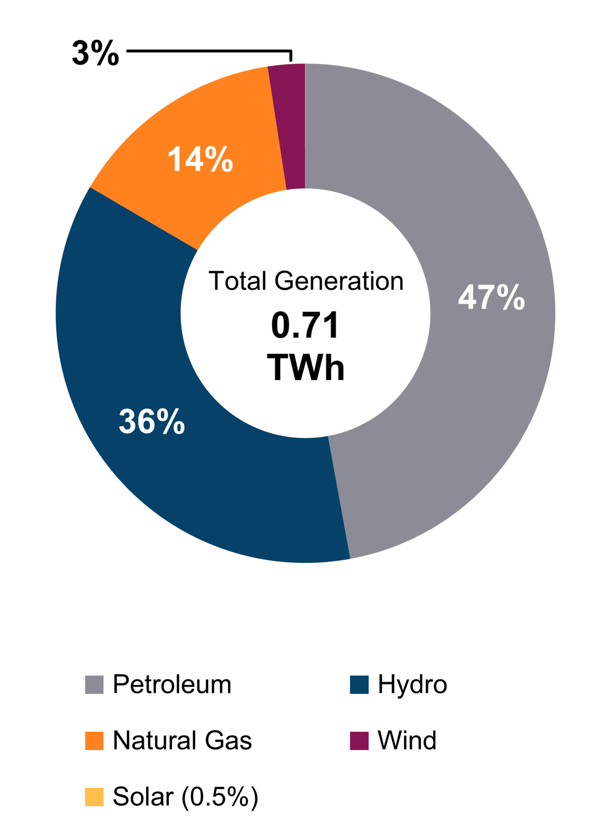 Figure 1: Electricity generation by Fuel Type (2021)