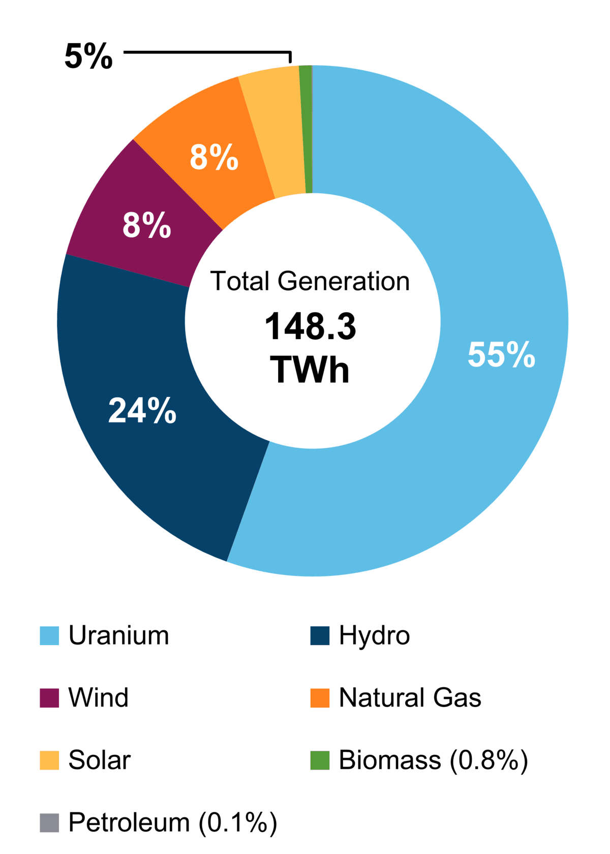 Figure&nbsp;2: Electricity Generation by Fuel Type (2021)