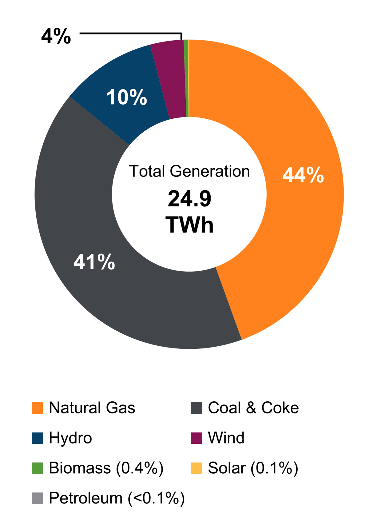 Figure 1: Electricity Generation by Fuel Type (2021)