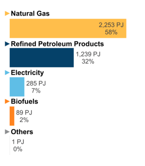Figure 6: End-Use Demand by Fuel (2020)