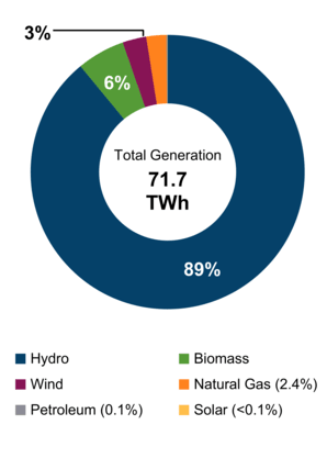 Figure 2: Electricity Generation by Fuel Type (2021)