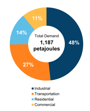 Figure 5: End-Use Demand by Sector (2020)
