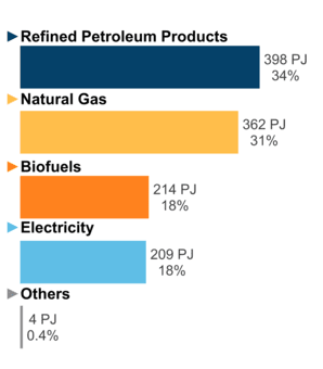 Figure 6: End-Use Demand by Fuel (2020)