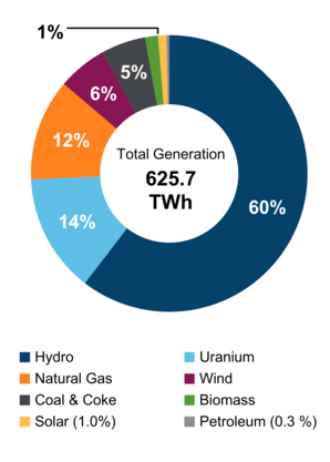 Figure 2: Electricity Generation by Fuel Type (2021)