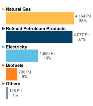 Figure 6: End-Use Demand by Fuel (2020)