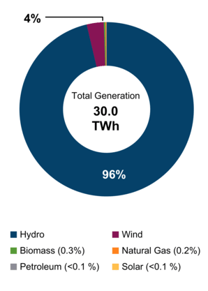 Figure 2: Electricity Generation by Fuel Type (2021)