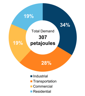 Figure 5: End-Use Demand by Sector (2020)