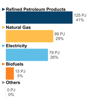Figure 6: End-Use Demand by Fuel (2020)