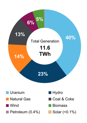 Figure 2: Electricity Generation by Fuel Type (2021)