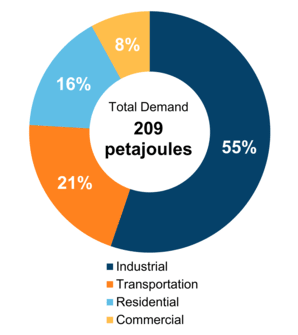 Figure 5: End-Use Demand by Sector (2020)