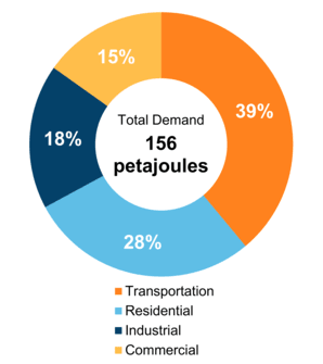 Figure 5: End-Use Demand by Sector (2020)